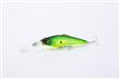 LONG MINNOW